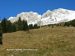 Salita dal Passo della Presolana alla Grotta dei Pagani, passando da Baita Cassinelli e Cappella Savina (16 nov. 08) - FOTOGALLERY